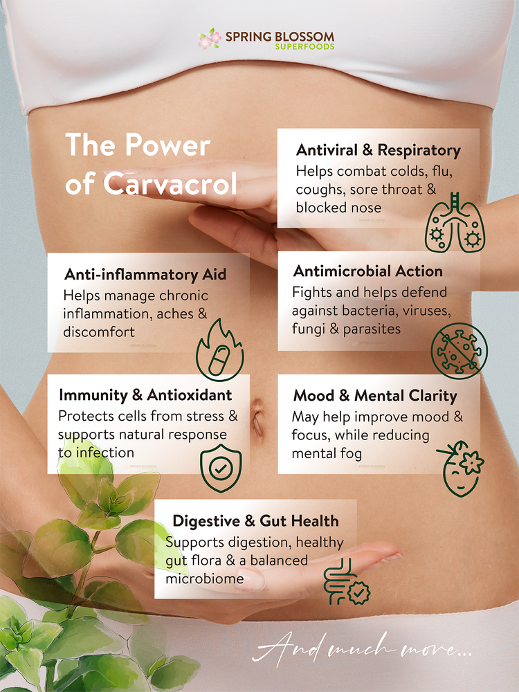 Wild Oil of Oregano Softgel Capsules (92% Carvacrol) x 200